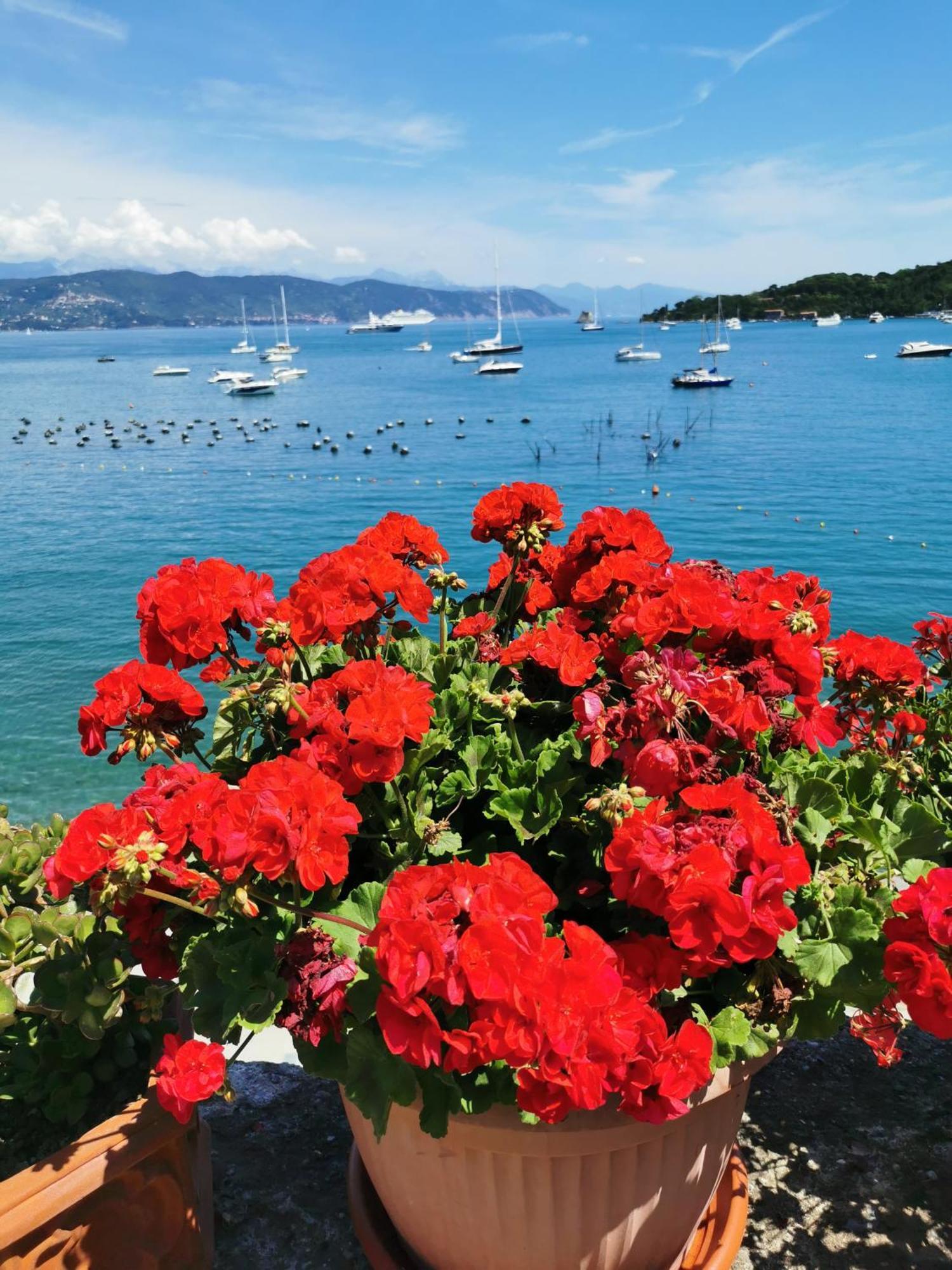 B&B La Palafitta Porto Venere Buitenkant foto